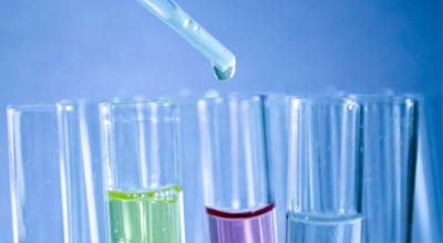 Understanding of shareholder